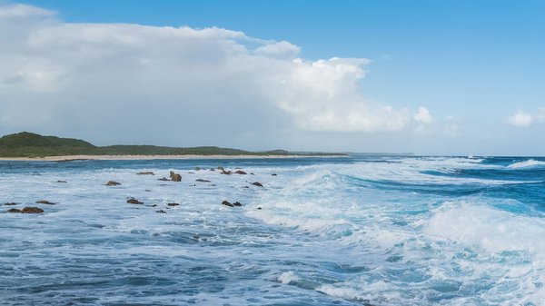 Quels sont les meilleurs conseils pour une visite des châteaux médiévaux en Écosse?